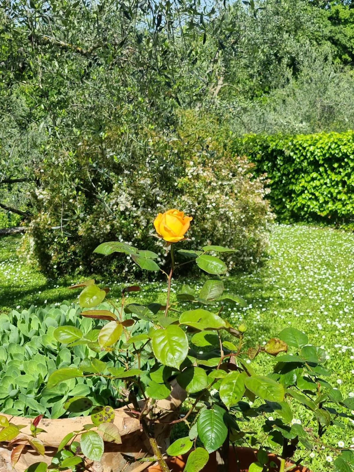 Maison d'hôtes Dimora Nel Chianti à San Sano Extérieur photo
