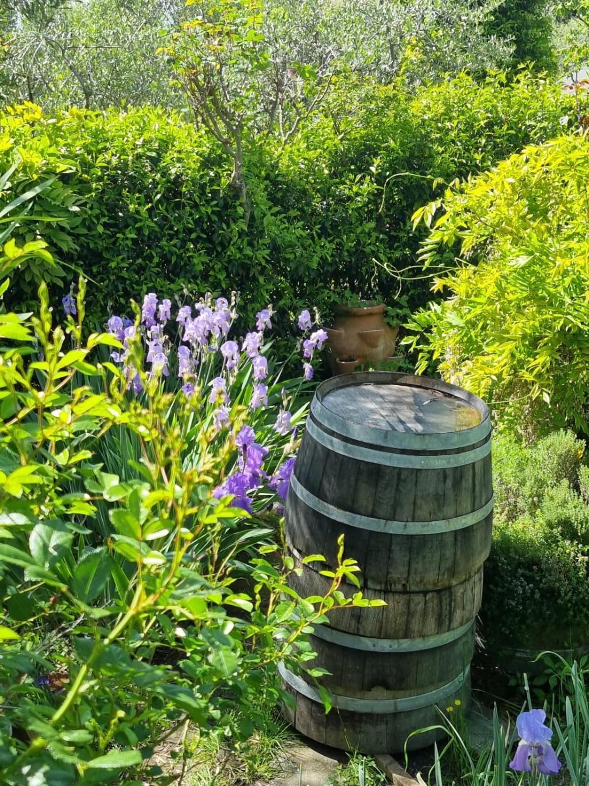 Maison d'hôtes Dimora Nel Chianti à San Sano Extérieur photo