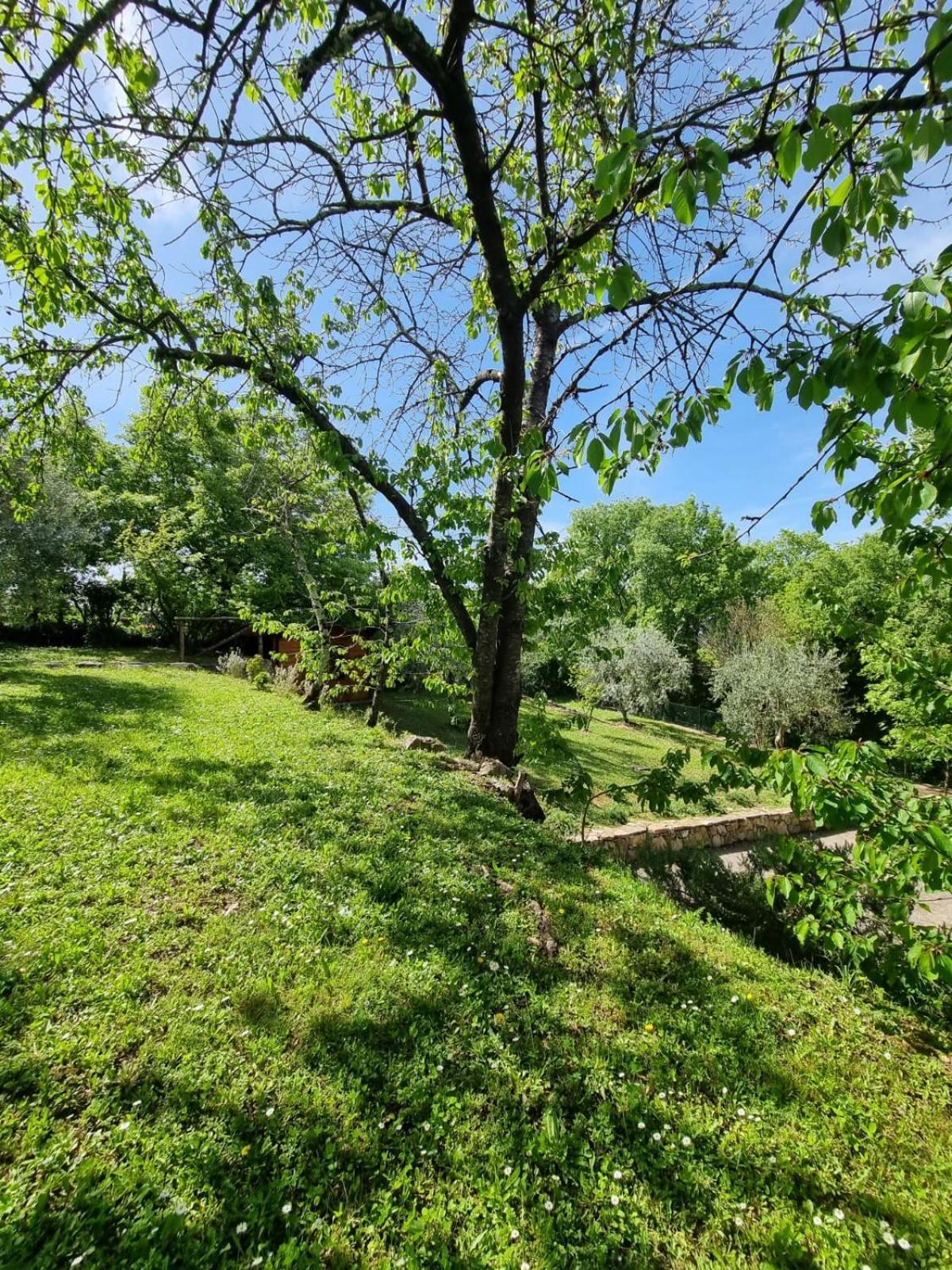 Maison d'hôtes Dimora Nel Chianti à San Sano Extérieur photo
